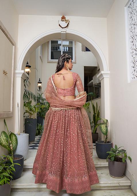 Rust Brown Embroidered Net Lehenga Set