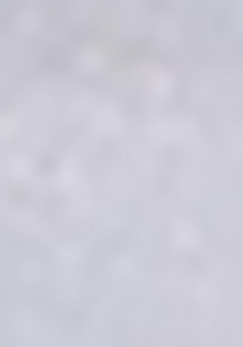 Multicolor Sequin Embroidered Faux Georgette Lehenga Set