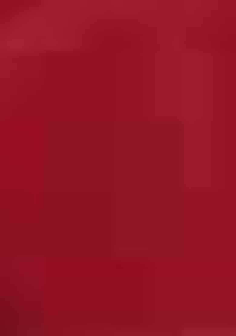 Red Thread Sequin Embroidered Net Lehenga Set