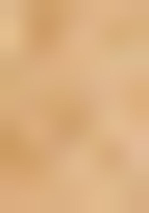 Chiku Brown Sequin Embroidered Organza Silk Lehenga Set