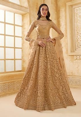 Chiku Brown Embroidered Net Lehenga Set