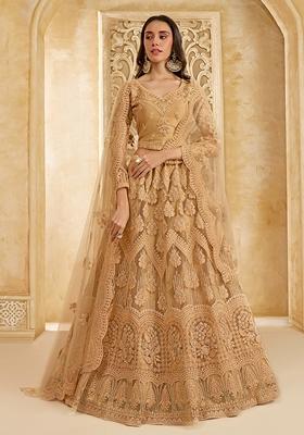 Chiku Brown Embroidered Net Lehenga Set