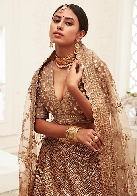 Brown Embroidered Slub Silk Lehenga Set