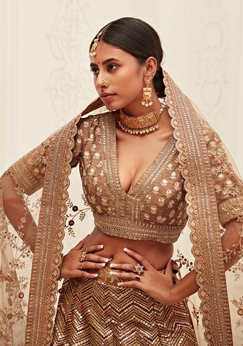 Brown Embroidered Slub Silk Lehenga Set