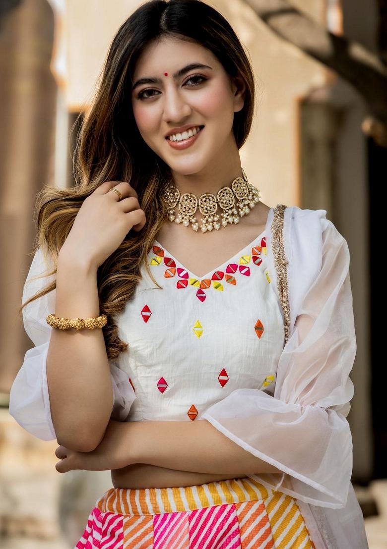 Multicolor Embroidered Lehenga Set