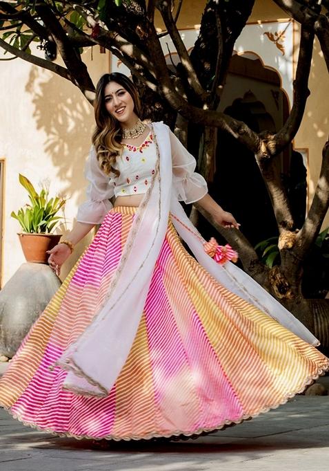 Multicolor Embroidered Lehenga Set