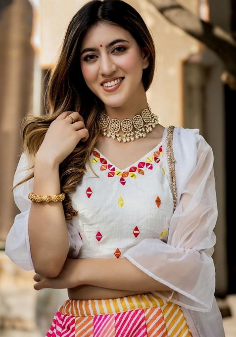 Multicolor Embroidered Lehenga Set