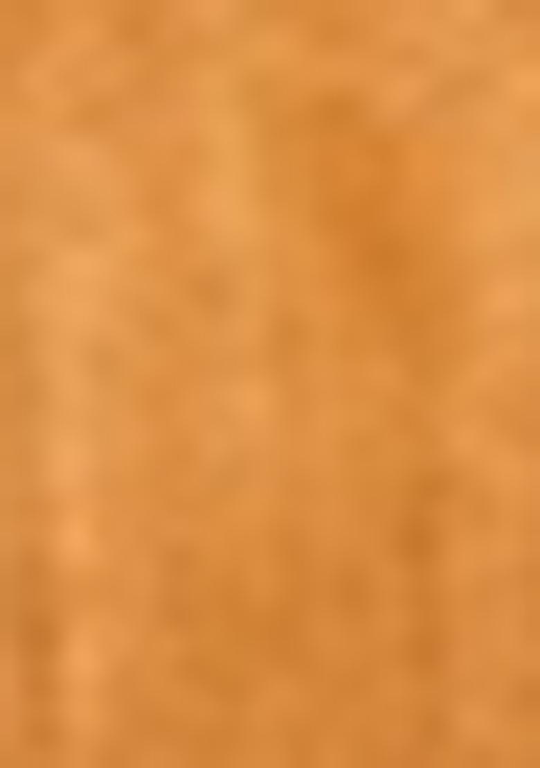 Dark Mustard Embroidered Net Lehenga Set