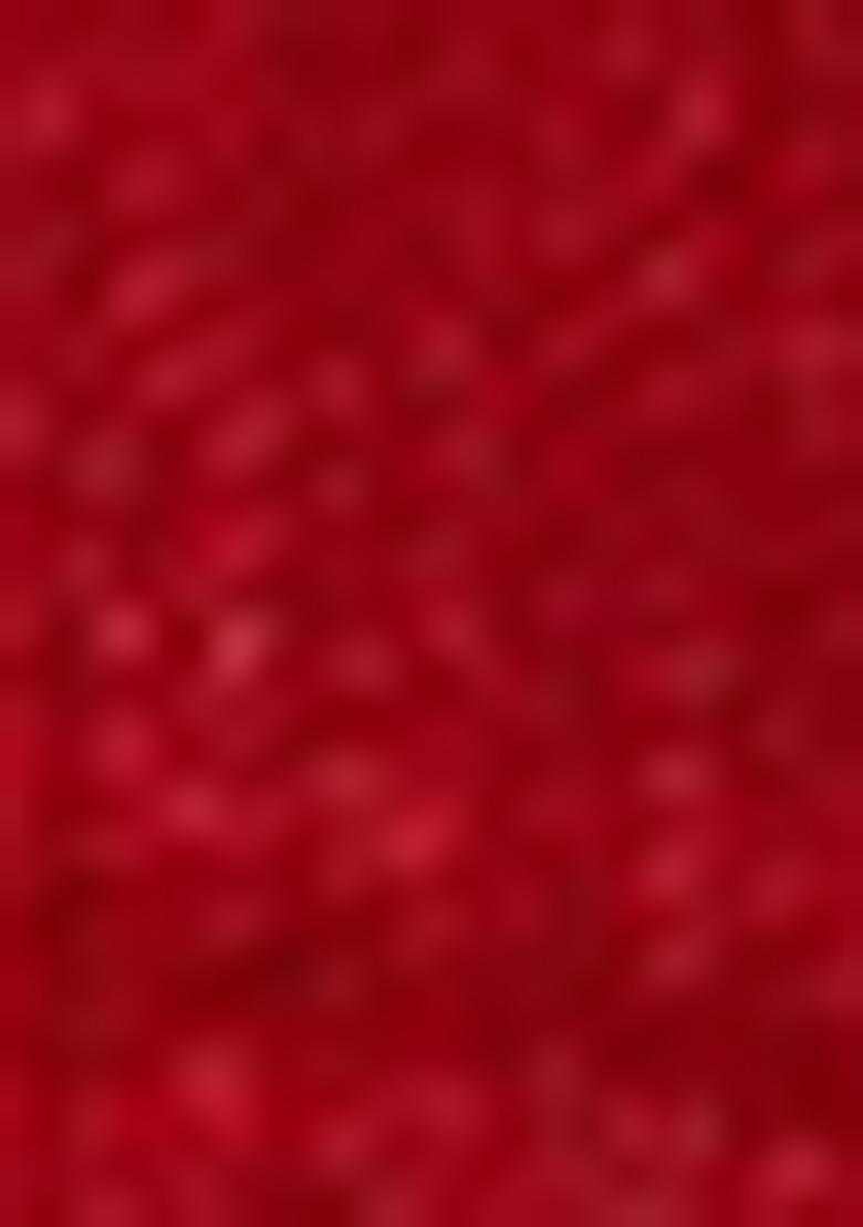 Dark Red Embroidered Net Lehenga Set