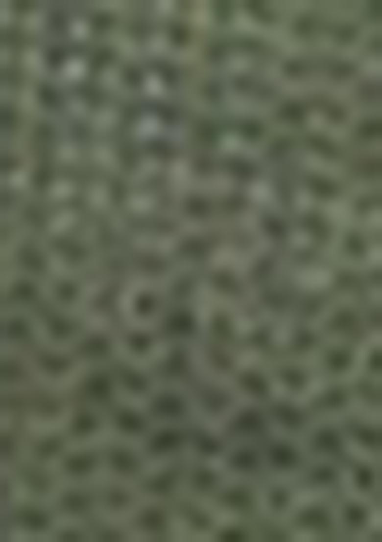 Olive Embroidered Net Lehenga Set