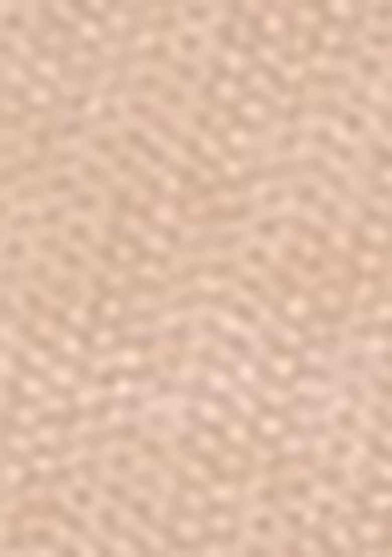 Peach Embroidered Net Lehenga Set