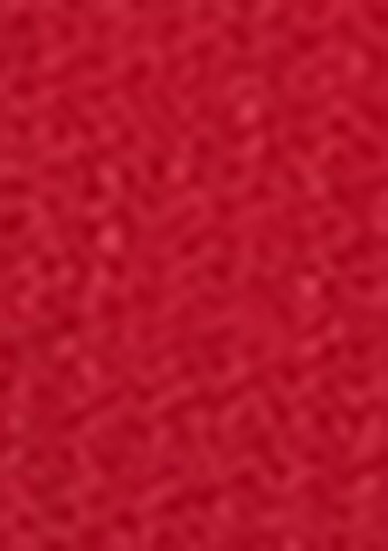 Red Embroidered Net Lehenga Set