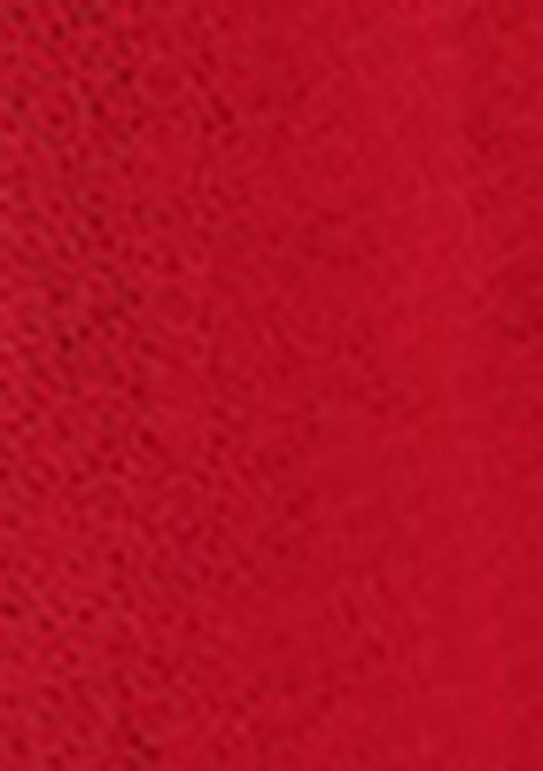 Red Embroidered Net Lehenga Set