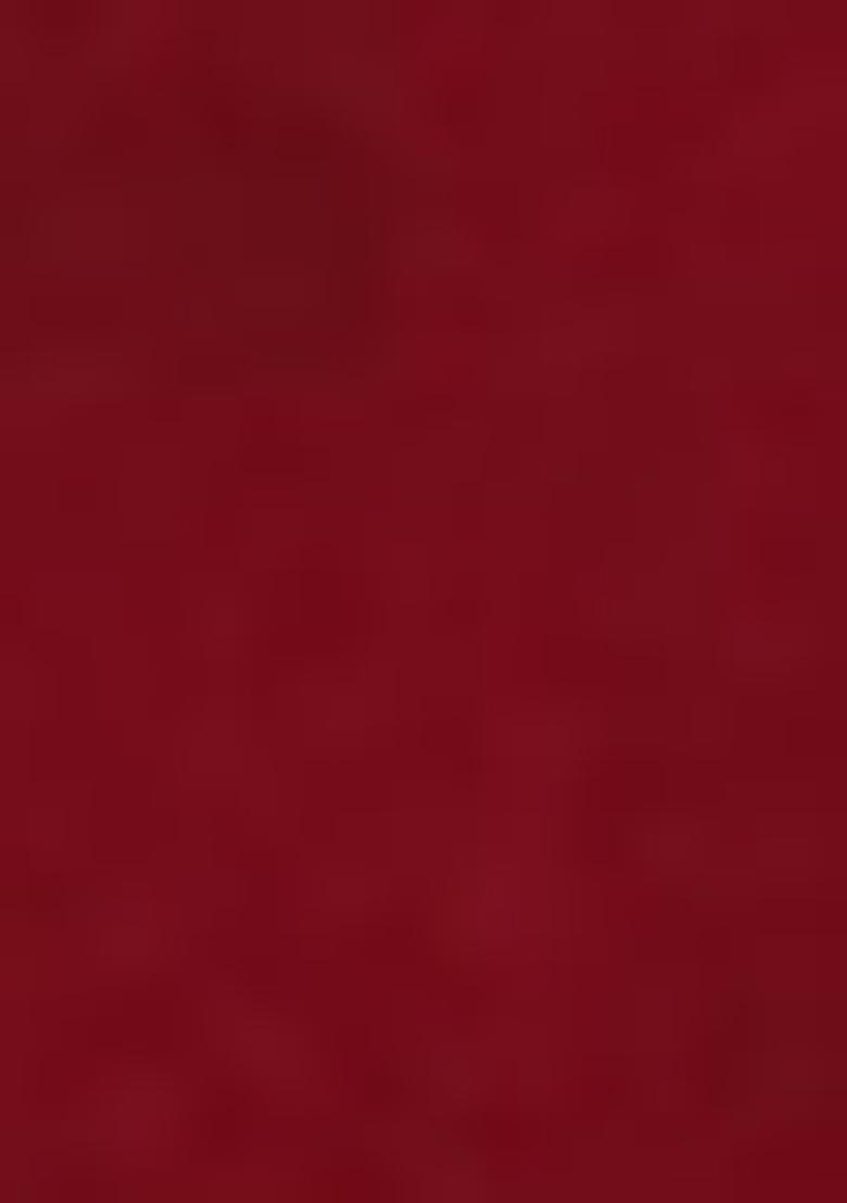 Red Embroidered Net Lehenga Set