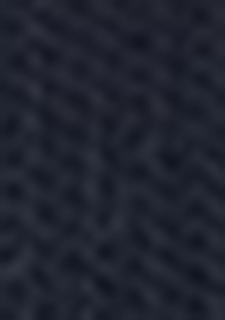 Dark Blue Embroidered Net Lehenga Set