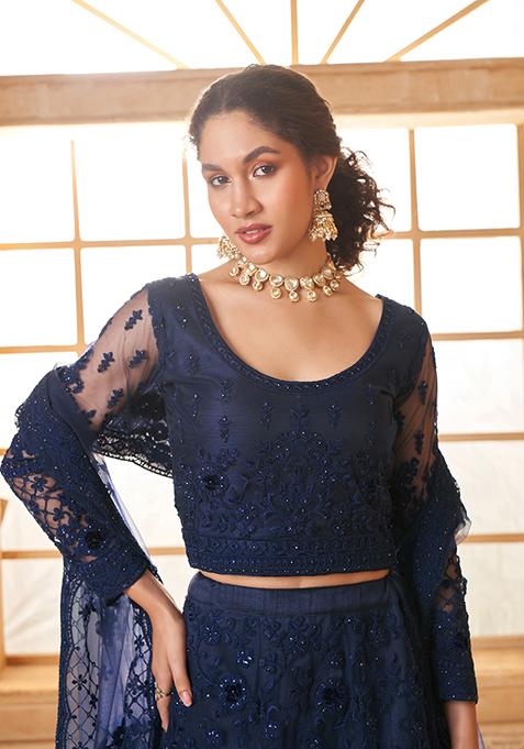 Dark Blue Embroidered Net Lehenga Set