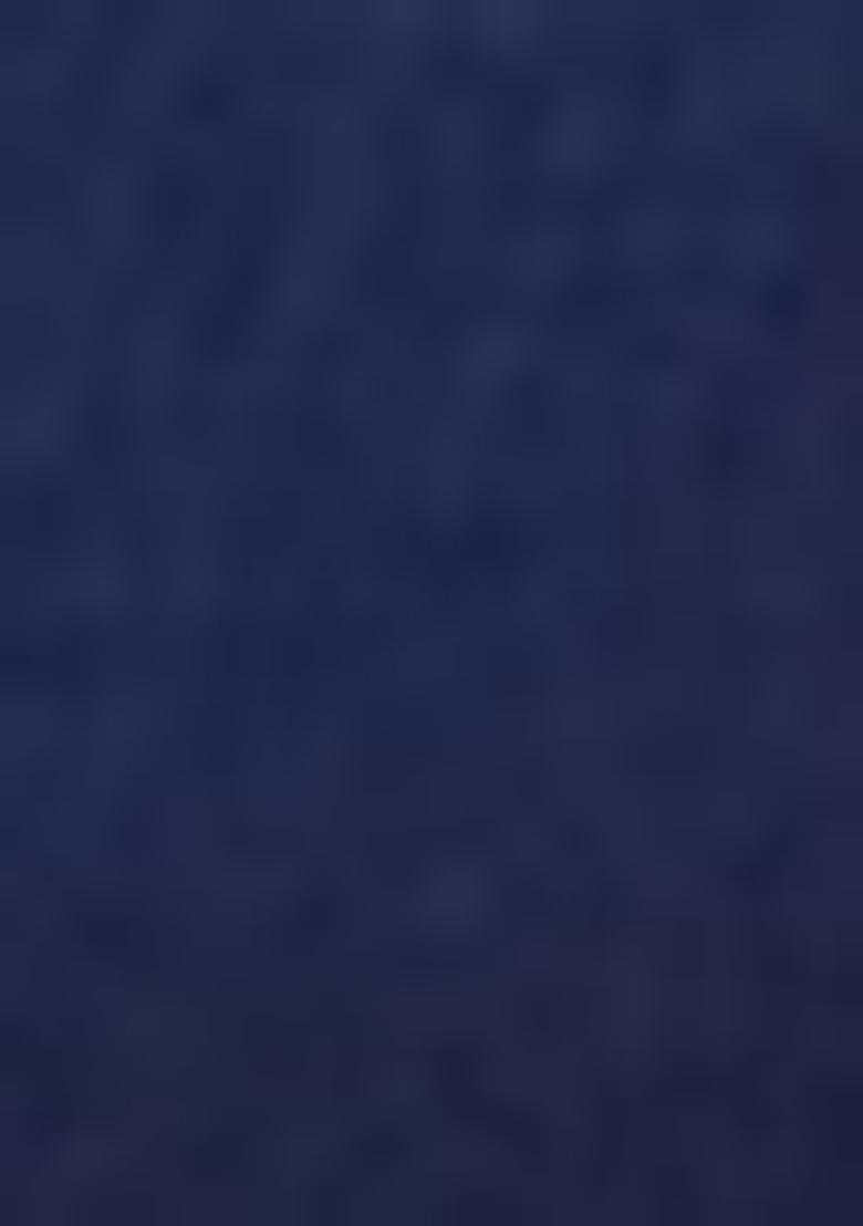 Royal Blue Embroidered Net Lehenga Set