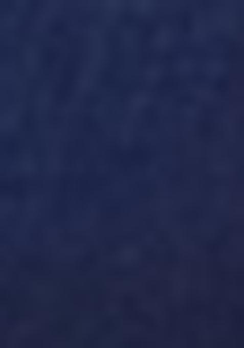 Royal Blue Embroidered Net Lehenga Set