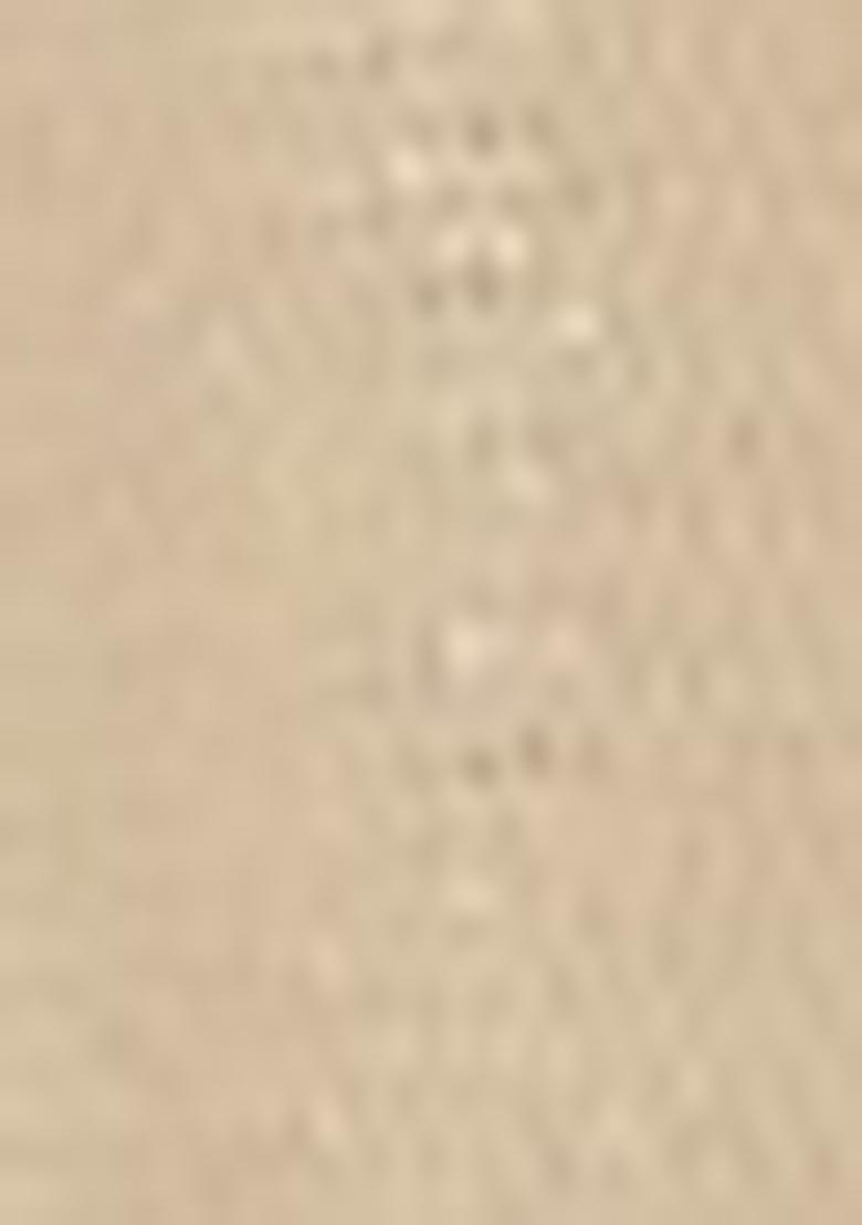 Off White Embroidered Net Lehenga Set