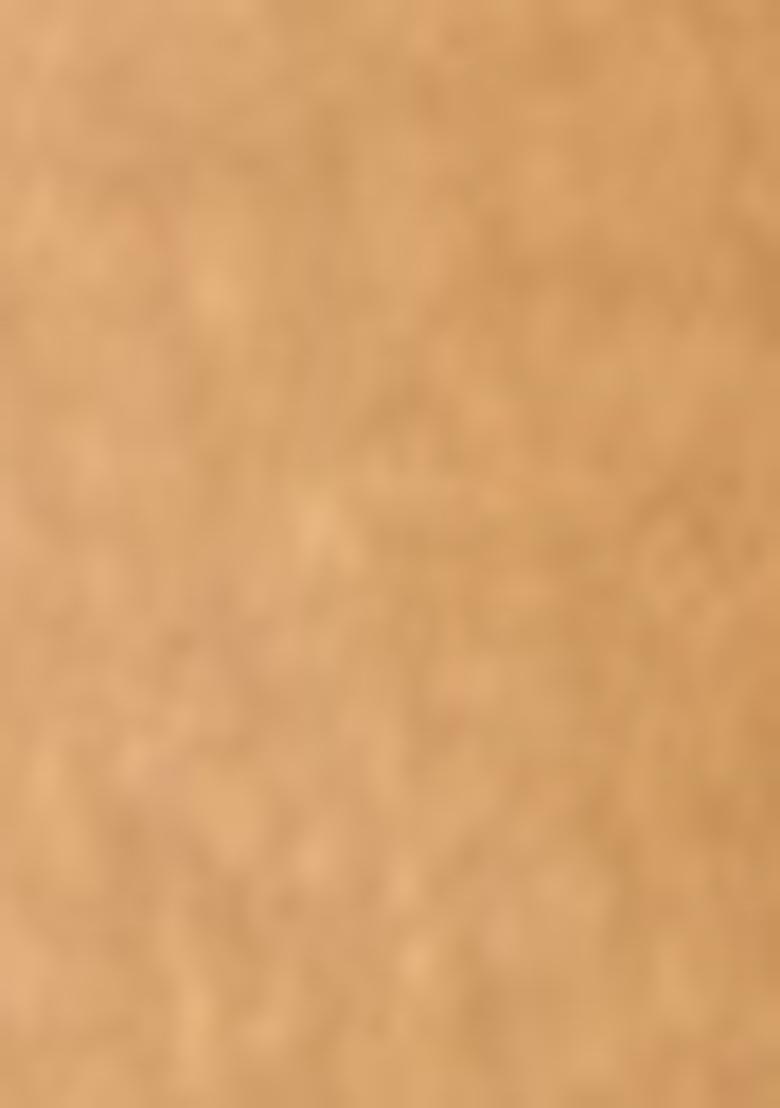 Golden Embroidered Net Lehenga Set