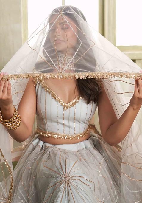 Light Grey Sequin Thread Embroidered Net Lehenga Set