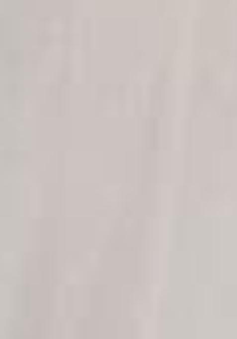 Off White Sequin Embroidered Net Lehenga Set