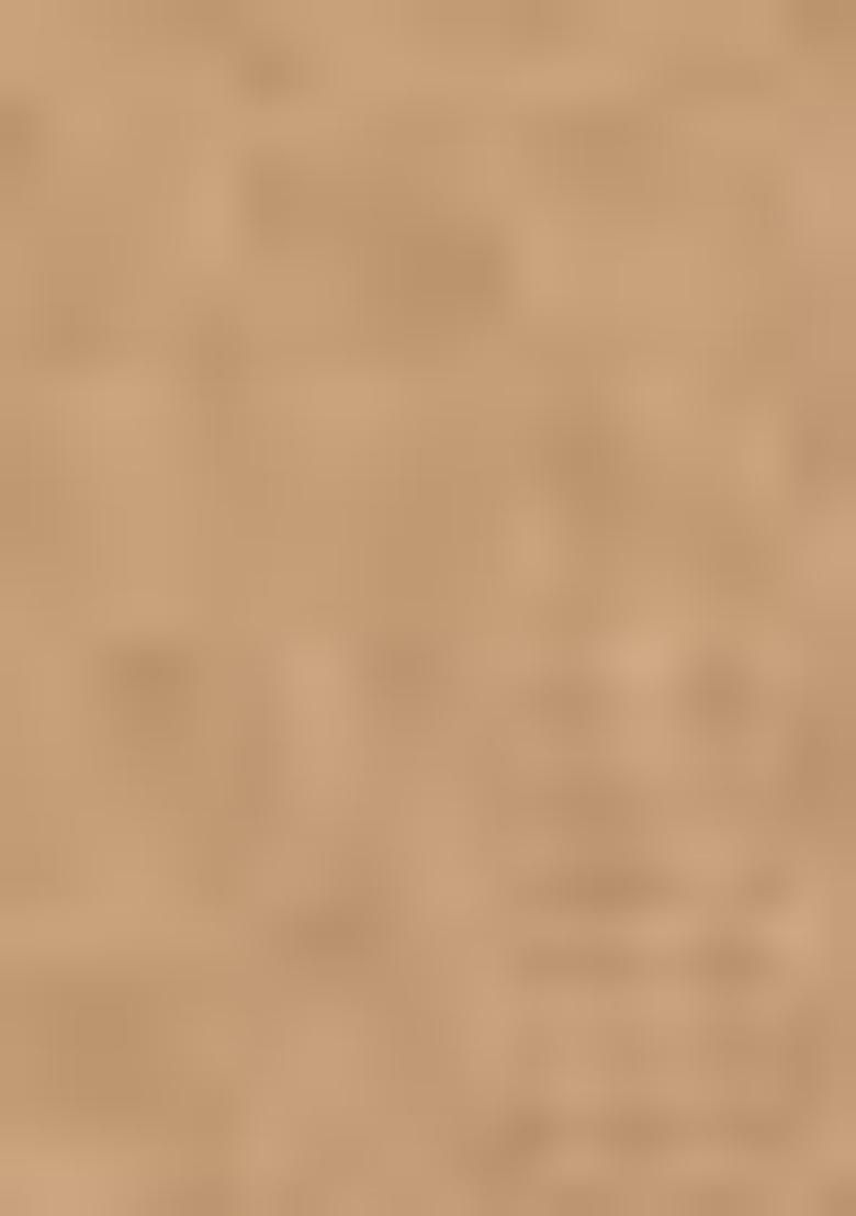 Brown Sequin Embroidered Net Lehenga Set