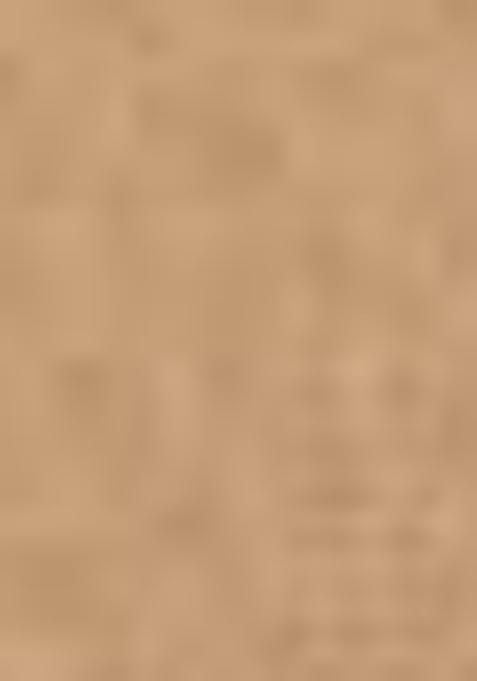 Brown Sequin Embroidered Net Lehenga Set