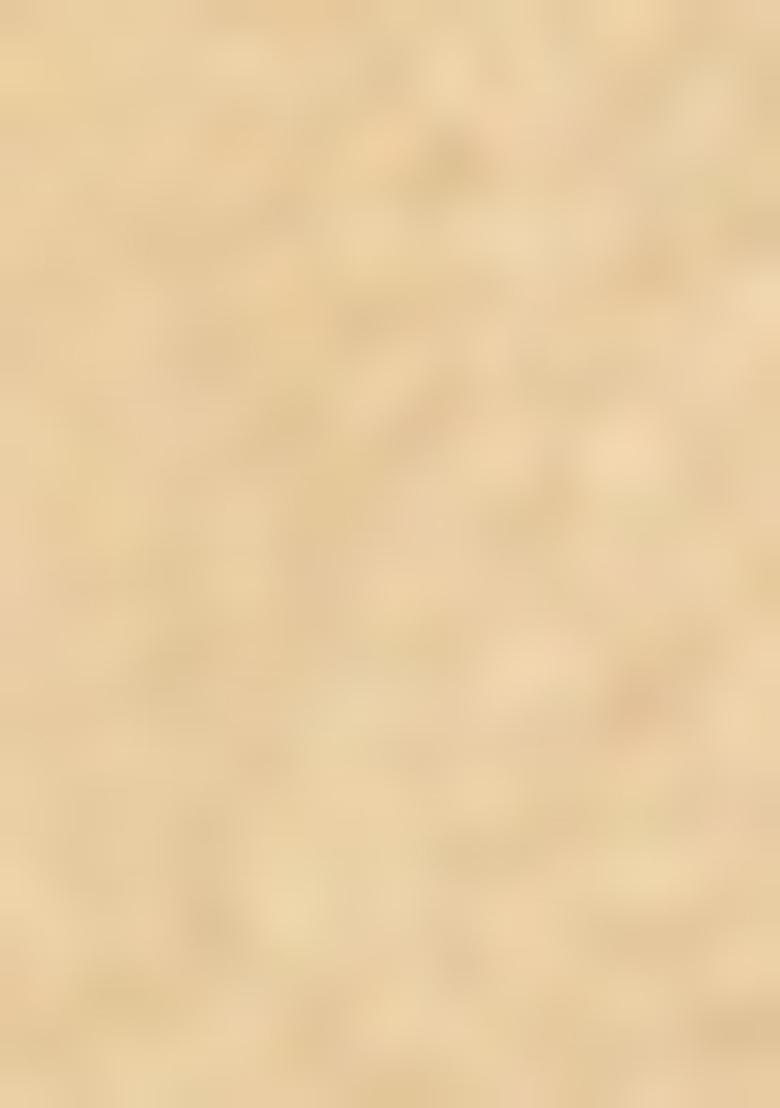 White Sequin Embroidered Georgette Lehenga Set