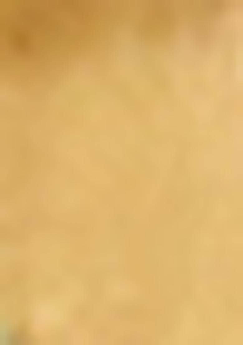 Beige Sequin Embroidered Net Lehenga Set