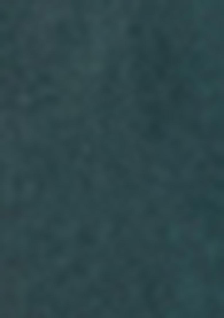 Teal Blue Sequin Embroidered Organza Lehenga Set