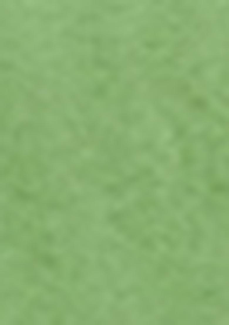 Parrot Green Sequin Embroidered Organza Lehenga Set