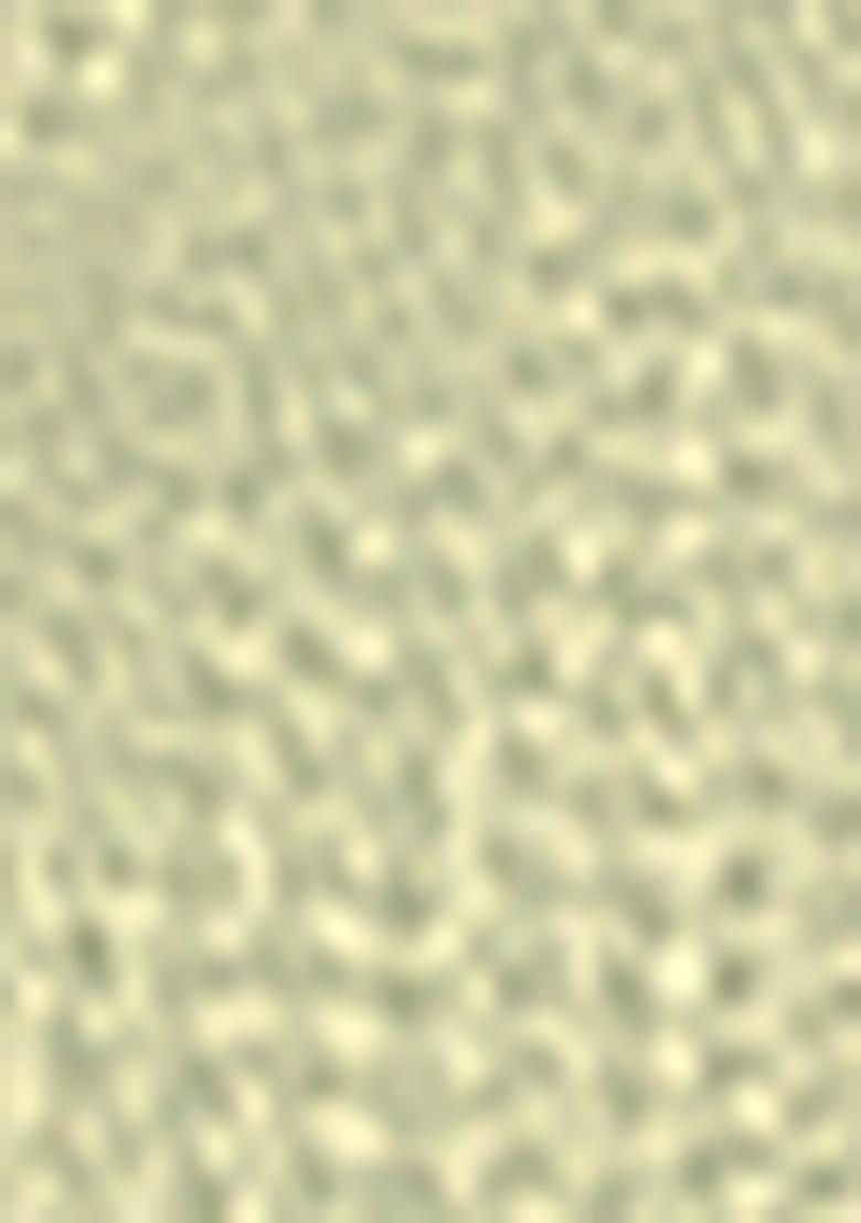 Green Embroidered Net Lehenga Set