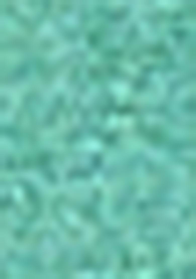 Sea Green Embroidered Jacquard Lehenga Set