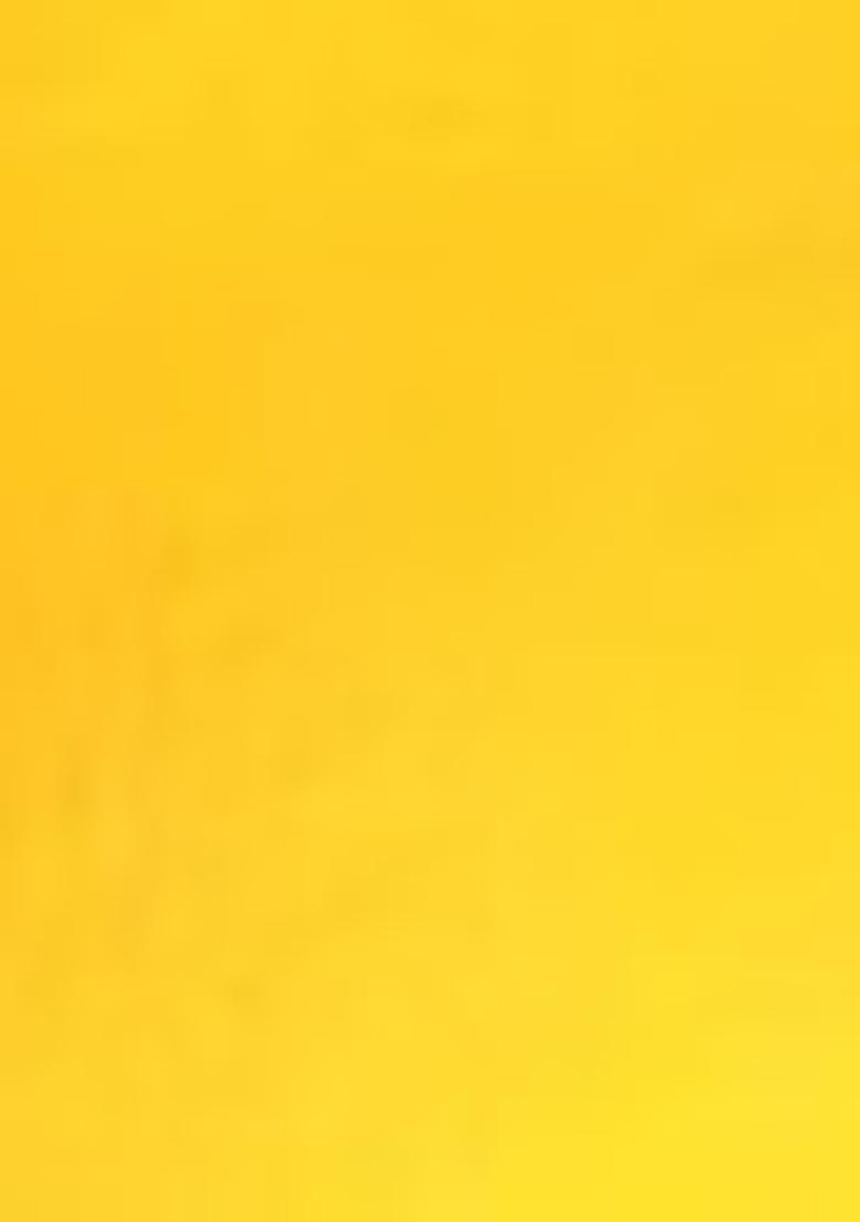 Yellow Embroidered Net Lehenga Set