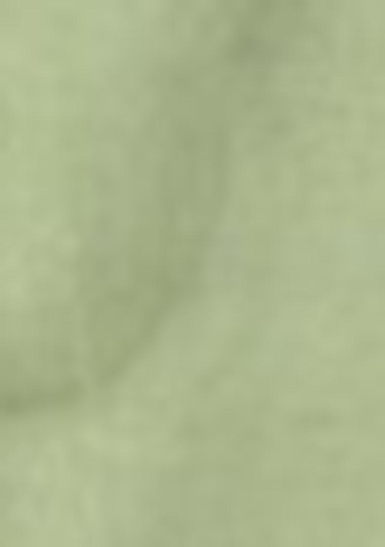 Green Sequin Embroidered Net Lehenga Set