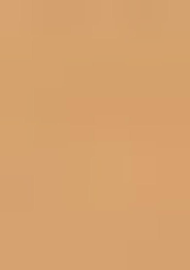 Beige Embroidered Net Lehenga Set