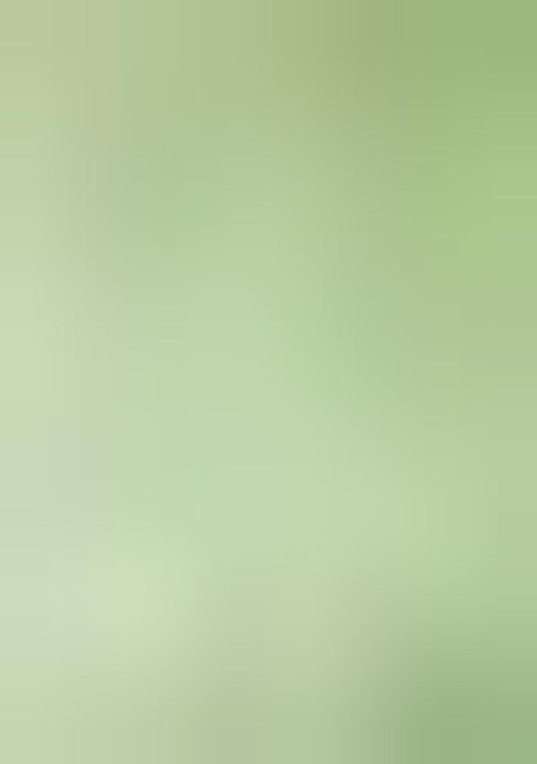 Green Embroidered Net Lehenga Set