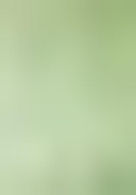 Green Embroidered Net Lehenga Set