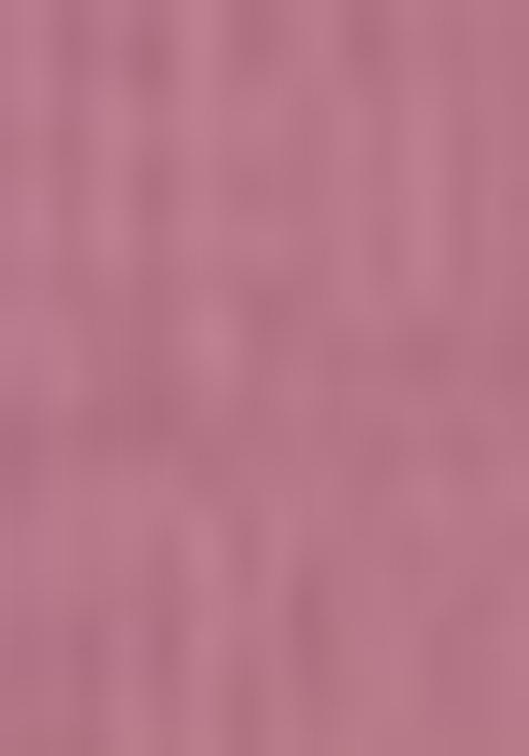 Mauve Embroidered Net Lehenga Set