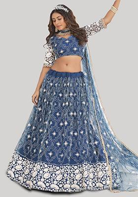 Blue Embroidered Net Lehenga Set