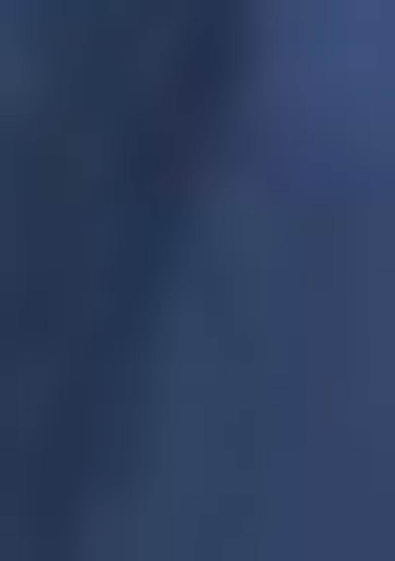 Blue Embroidered Net Lehenga Set