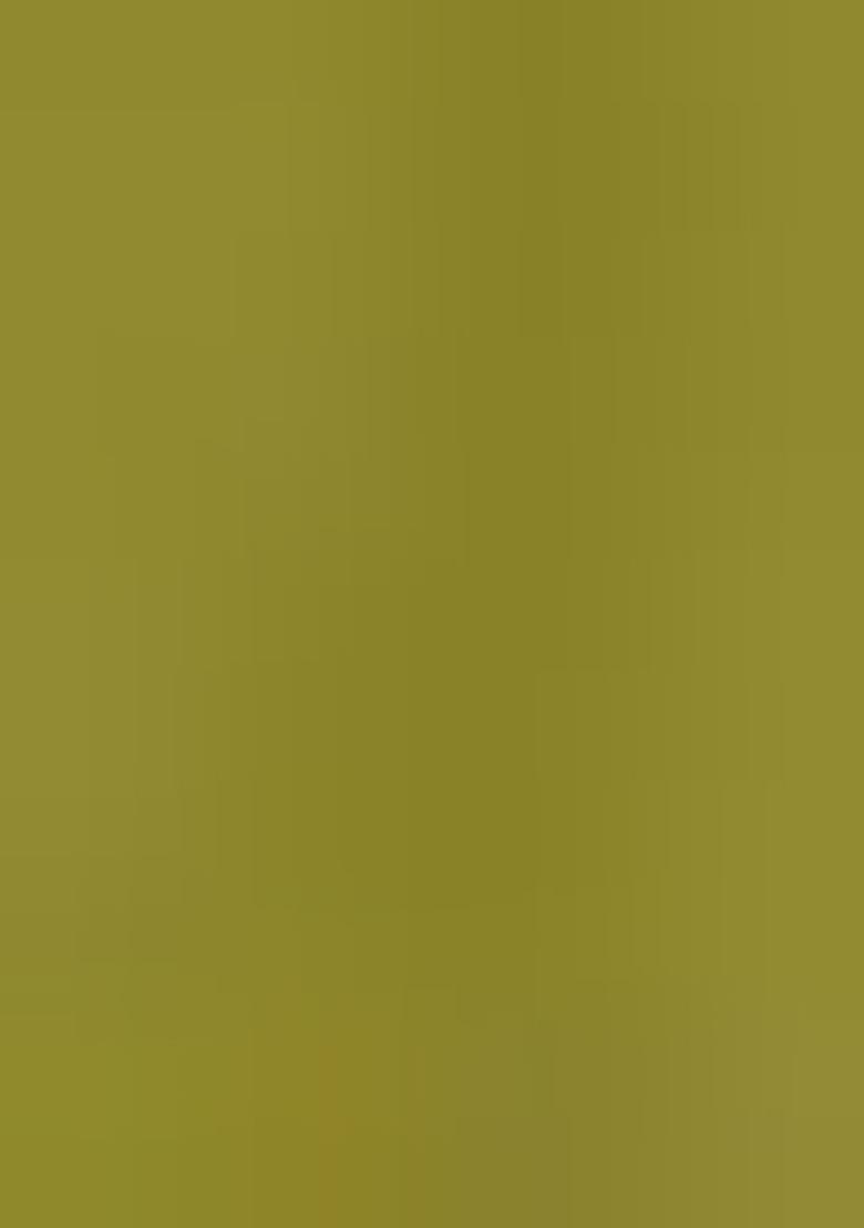 Olive Green Embroidered Net Lehenga Set