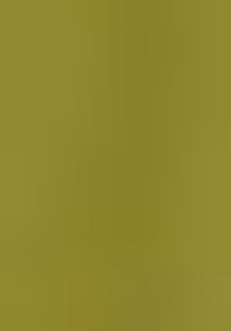 Olive Green Embroidered Net Lehenga Set