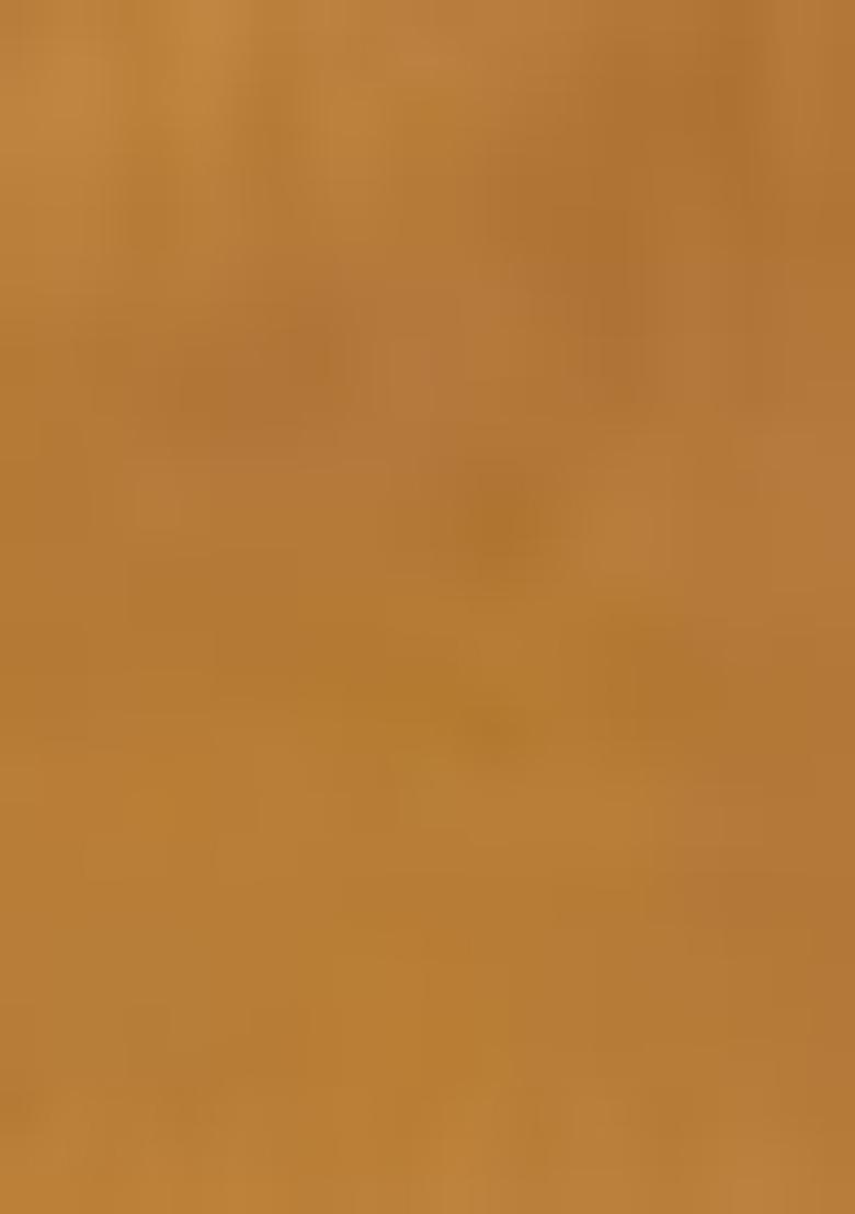 Brown Embroidered Net Lehenga Set