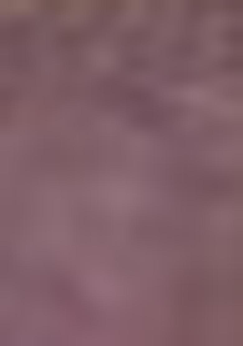 Pink Embroidered Net Lehenga Set