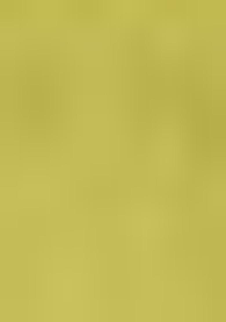 Lime Green Embroidered Net Lehenga Set