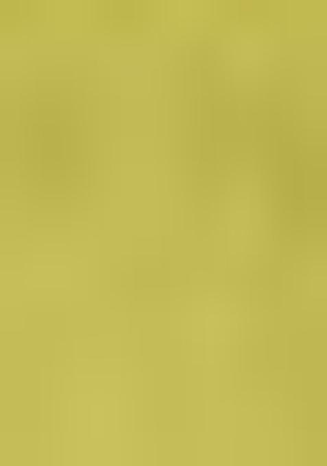 Lime Green Embroidered Net Lehenga Set