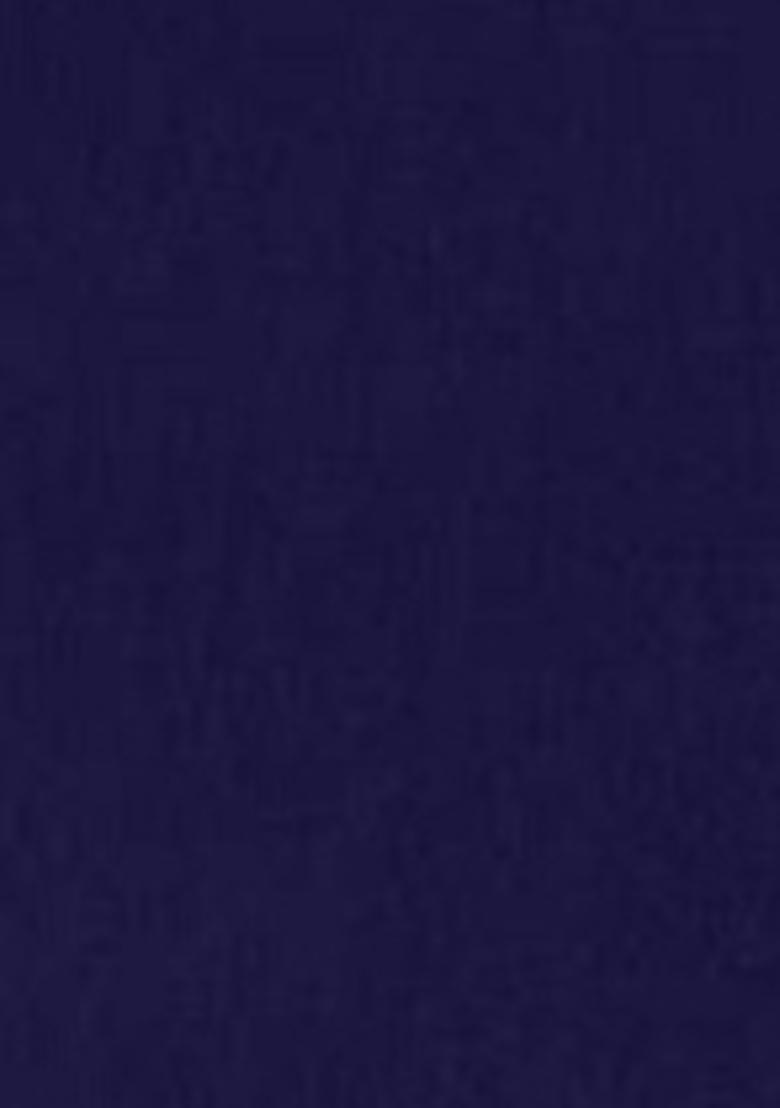 Blue Embroidered Georgette Lehenga Set