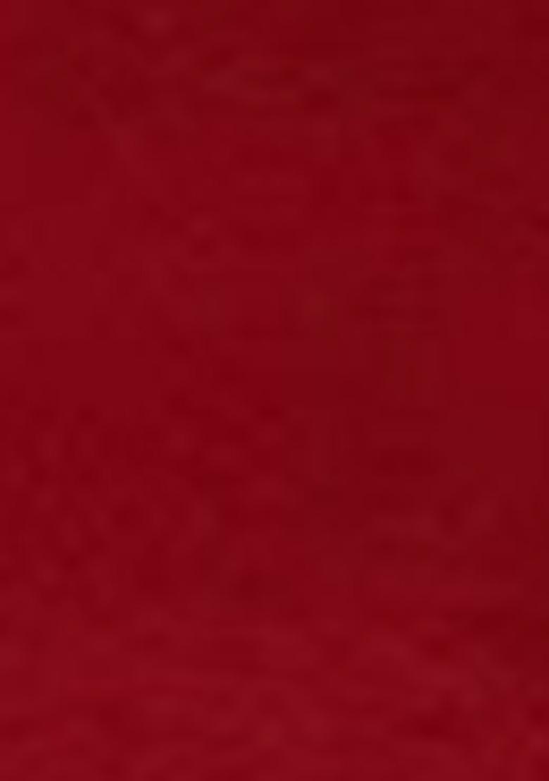 Red Embroidered Georgette Lehenga Set